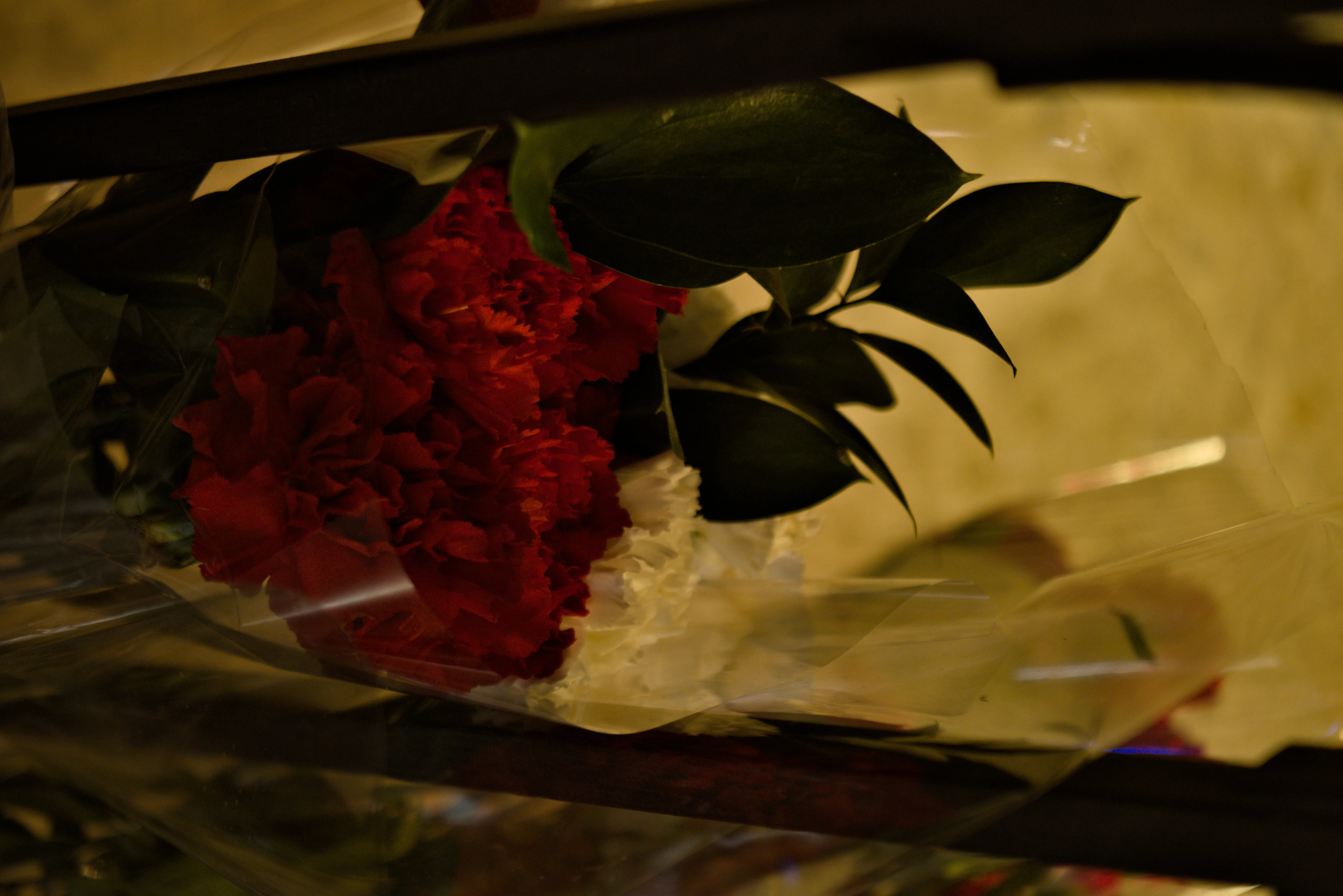 Industar-50-2 50mm f3.5 (M42) - _I4A4632.webp